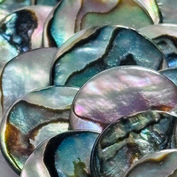 Abalone Shell Disc Bib Necklace Iridescent Statement Collar - Picture 10 of 13